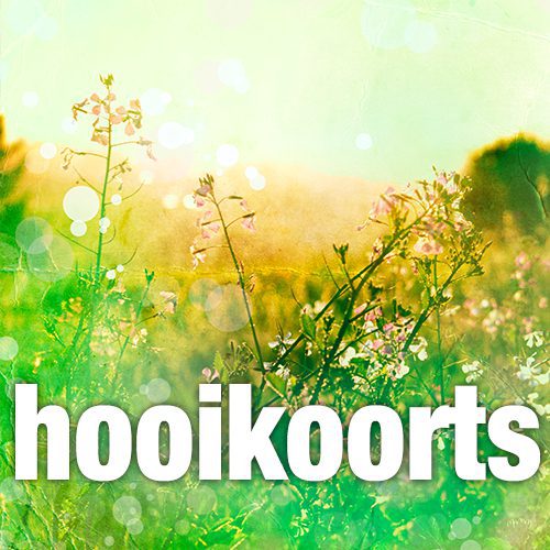 Hooikoorts blijvend aanpakken