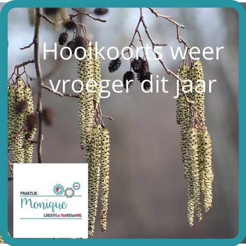 Hooikoorts weer vroeger dit jaar