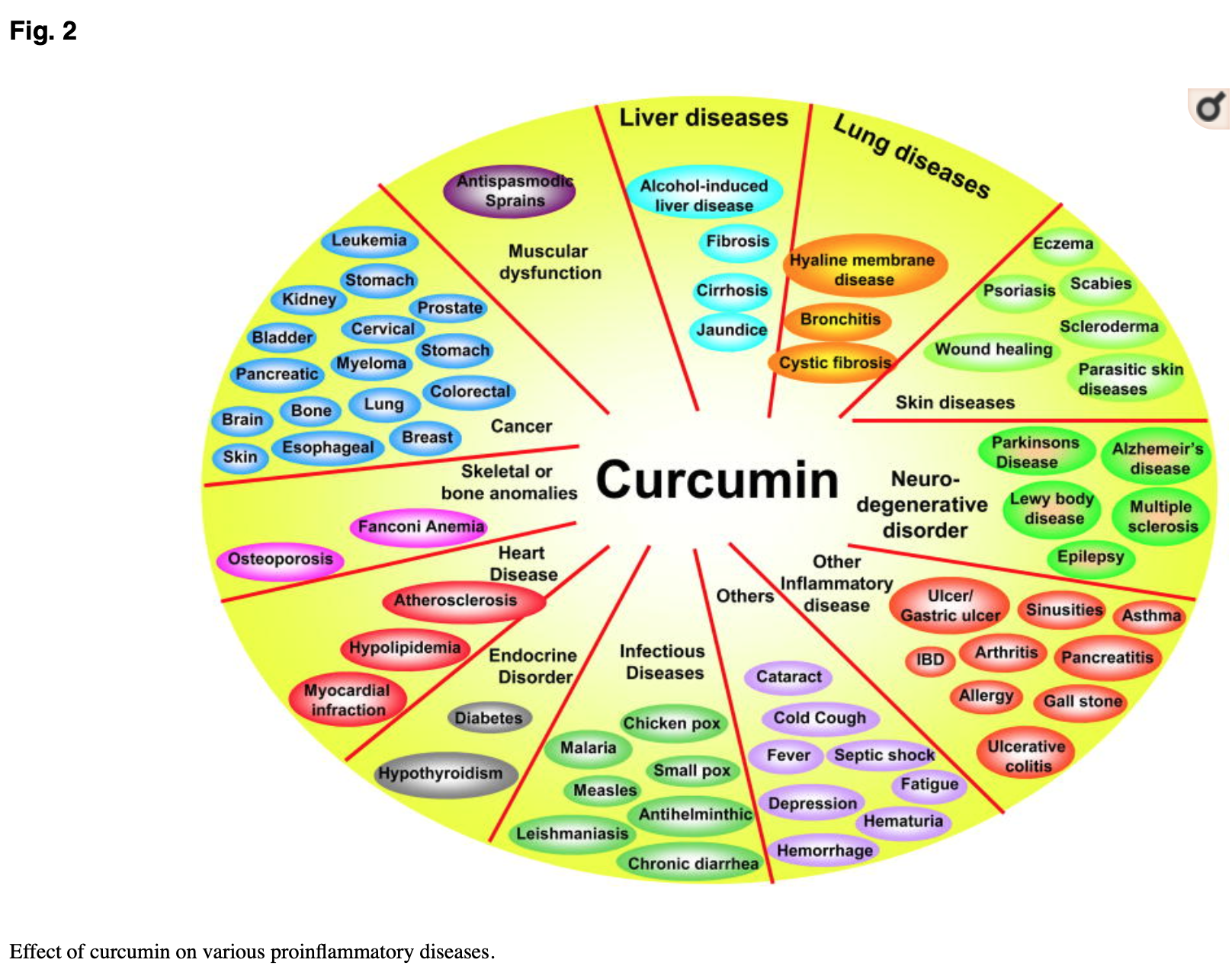 Effecten van curcumine op diverse ontstekingsziekten